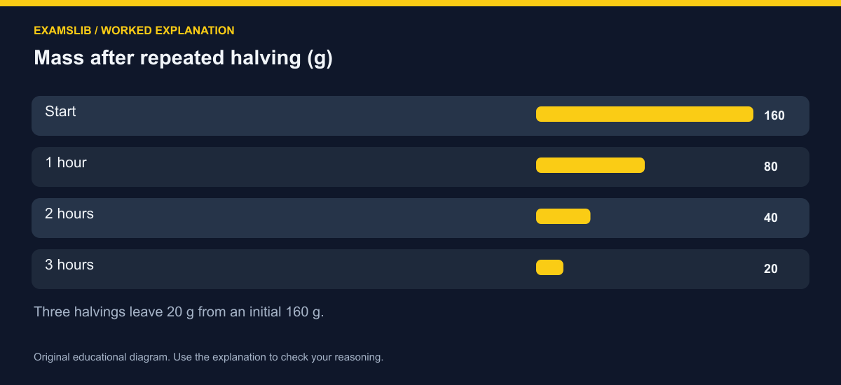 Mass after repeated halving (g)