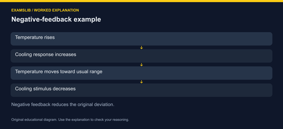 Negative-feedback example